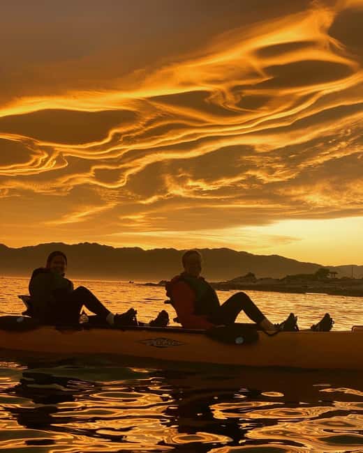 image n.1 of Kaikōura: Kayak Sunset Tour with Seal Sightings activity in Kaikoura, uploaded by supplier
