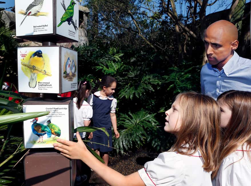 Immagine nº 22 di New Orleans: Biglietto per lo zoo di Audubon e opzione combinata attività a New Orleans, caricata dal fornitore