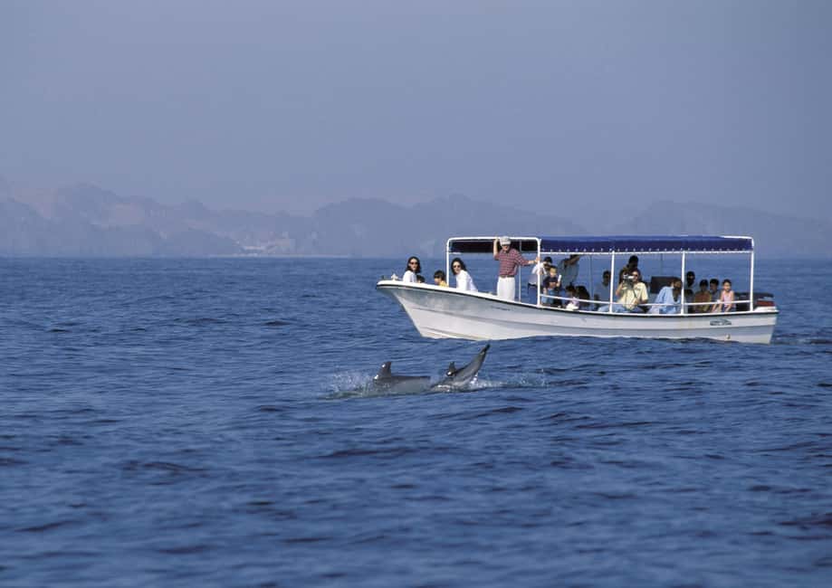 Immagine nº 7 di Muscat: gita in barca per l'osservazione dei delfini con spuntini attività a Mascate, caricata dal fornitore