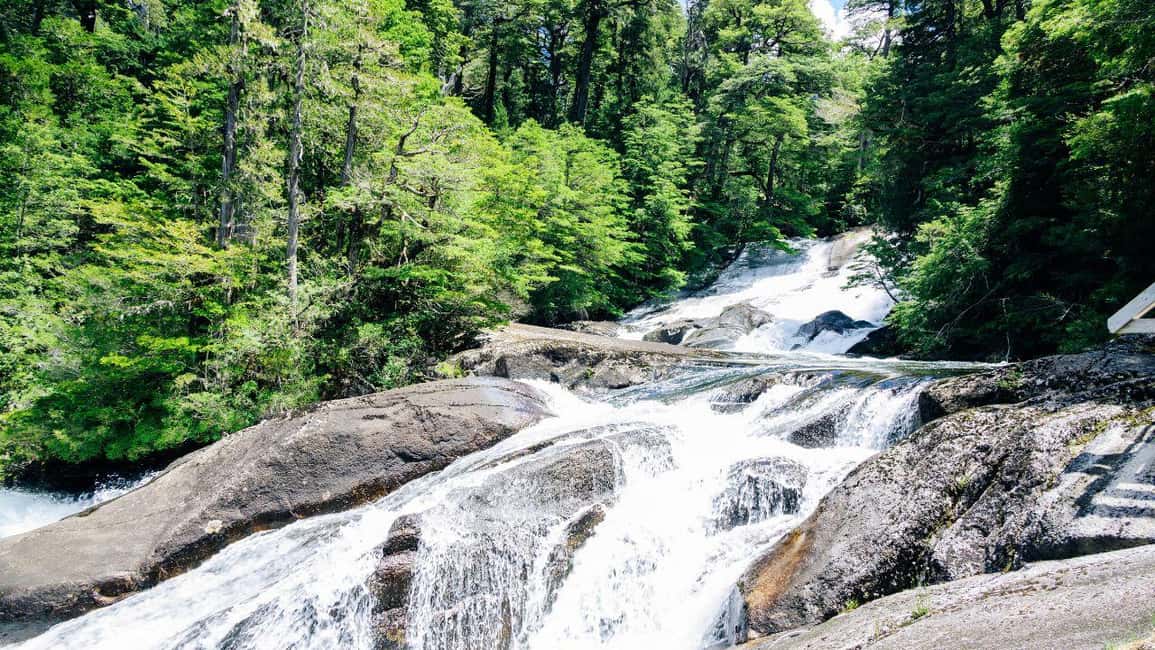 imagem n.5 de Bariloche: Puerto Blest e Cachoeira Los Cantaros atividade em Região dos Lagos, Argentina, carregada pelo fornecedor