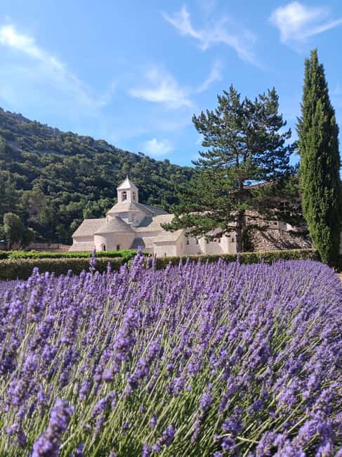 billede nr.2 af aktiviteten Fra Avignon: Heldagstur til lavendellandsbyer i L'Isle-sur-la-Sorgue, uploadet af udbyder