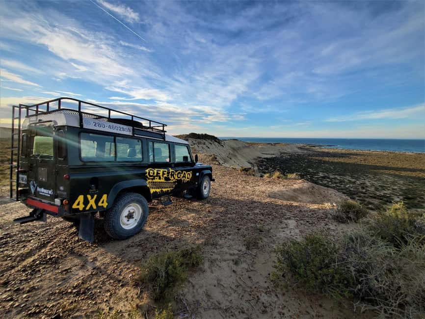 Bild Nr. 3 von PUERTO MADRYN: 4 X 4 ABENTEUER AN DEN SCHÖNSTEN STRÄNDEN ERLEBEN! Aktivität in Puerto Madryn, hochgeladen vom Anbieter
