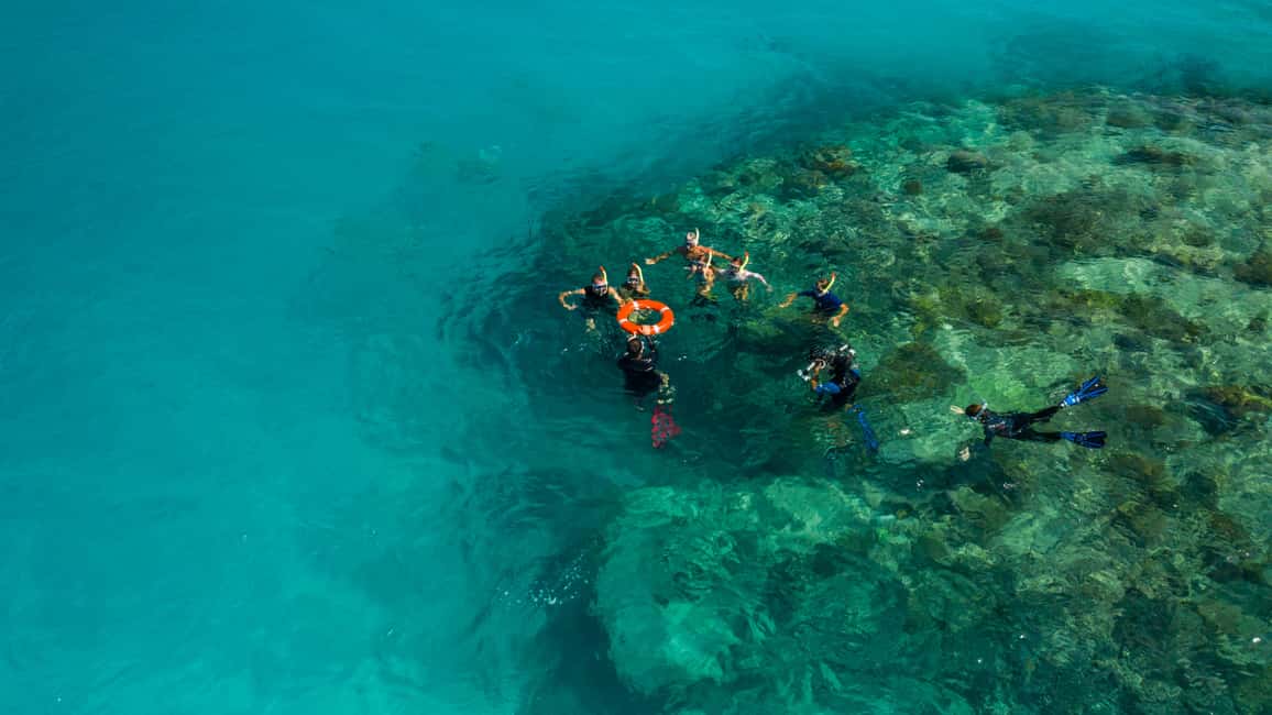 image n.13 of Cairns: Green Island & Great Barrier Reef Sailing Tour activity in Queensland, uploaded by supplier