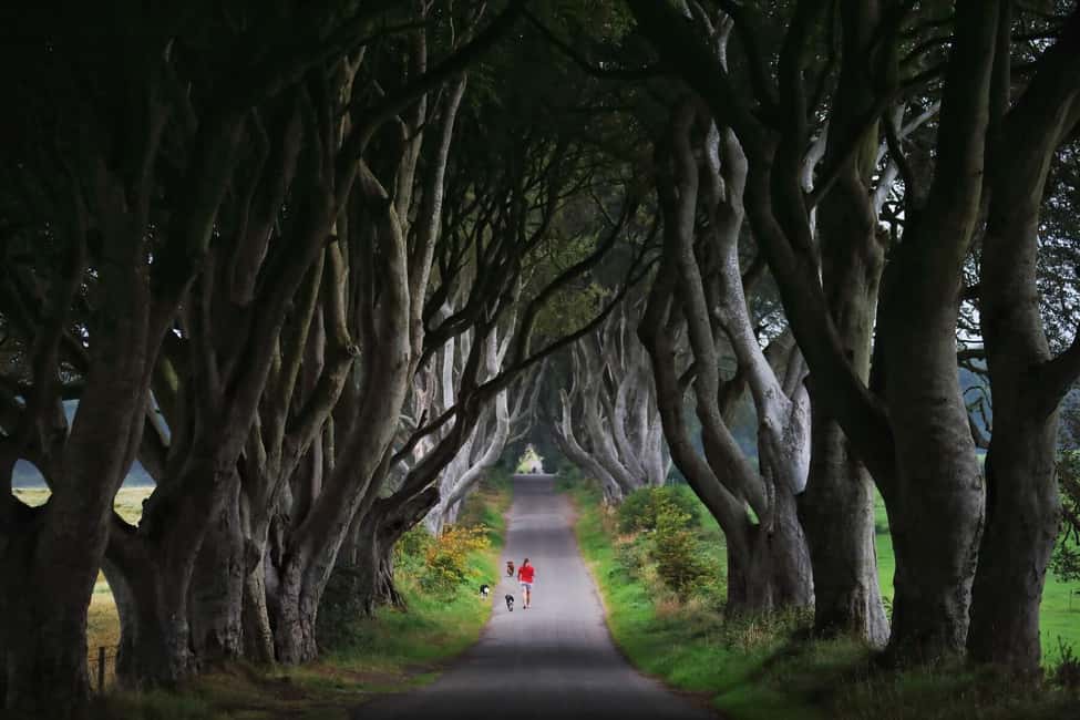 image n.5 of Giants causeway Irish castles & whiskey, Game of thrones activity in Bushmills, uploaded by supplier