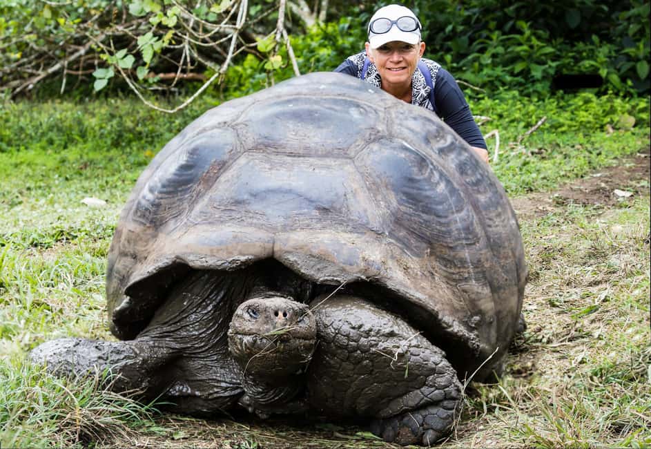 image n.2 of Galapagos GPS Airport Transfers and highlights Tours activity in Galápagos Islands, uploaded by supplier