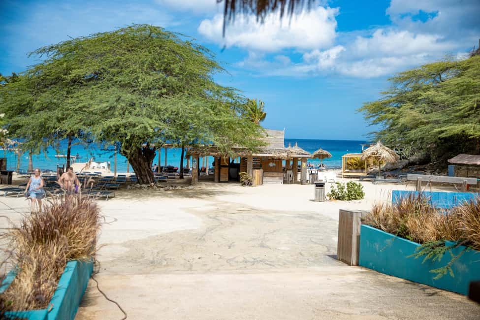 afbeelding n.7 van Curaçao: Offroad UTV/BUGGY avontuur activiteit in Curaçao, geüpload door aanbieder