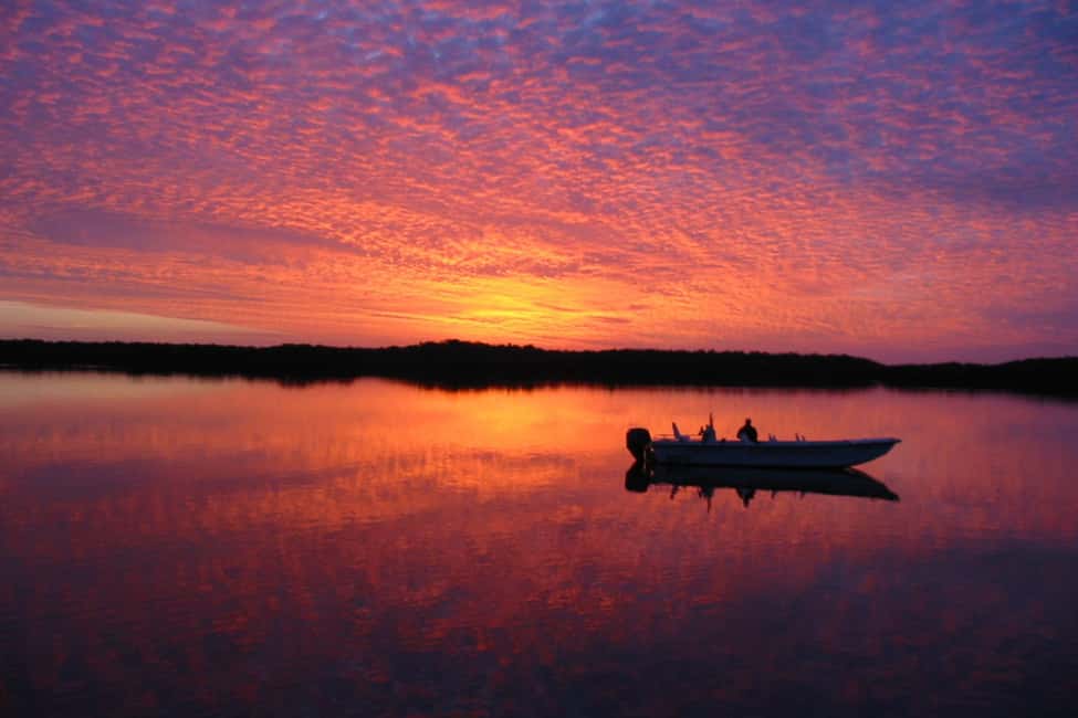 image n.7 of Marco Island: 2-Hour Dolphin, Birding, and Shelling Tour activity in Fort Myers, uploaded by supplier