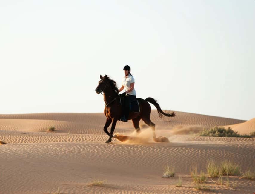 Bild Nr. 9 von Doha Reitabenteuer in der Wüste mit Transfers Aktivität in Doha, hochgeladen vom Anbieter