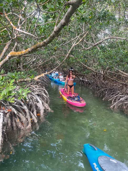imagen n.º 3 de Cayo Hueso: Excursión de 2 horas en kayak por los manglares actividad en Florida, subida por el proveedor