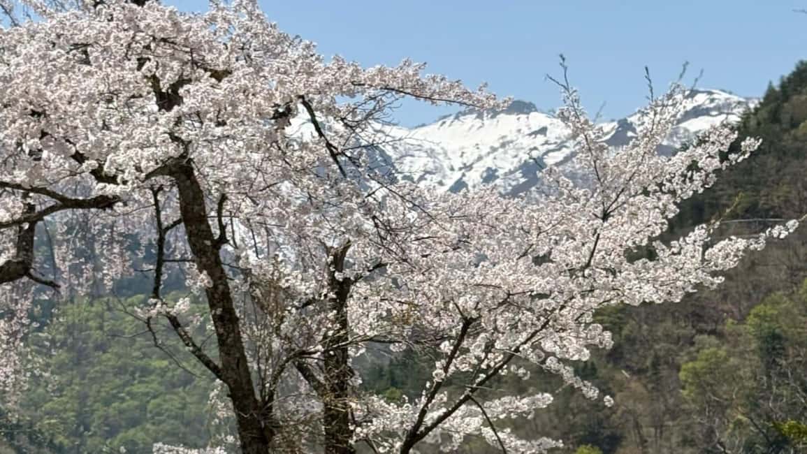 サプライヤーによってアップロードされた、高山の金沢/高山発：白川郷＆高山日帰りツアーの画像#40