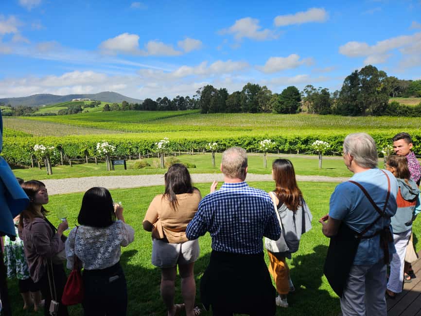 image n.37 of Melbourne: Yarra Valley Wine, Gin, Whisky and Chocolate Tour activity in Melbourne, uploaded by supplier