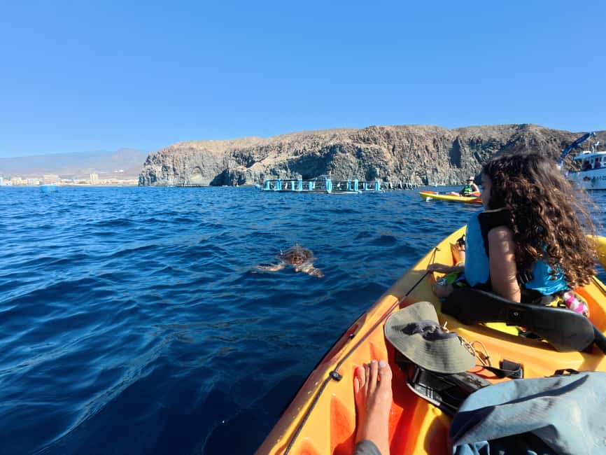image n.6 of Tenerife: Kayak & Snorkel Tour with Snacks & Sea Life Safari activity in Telde, uploaded by supplier