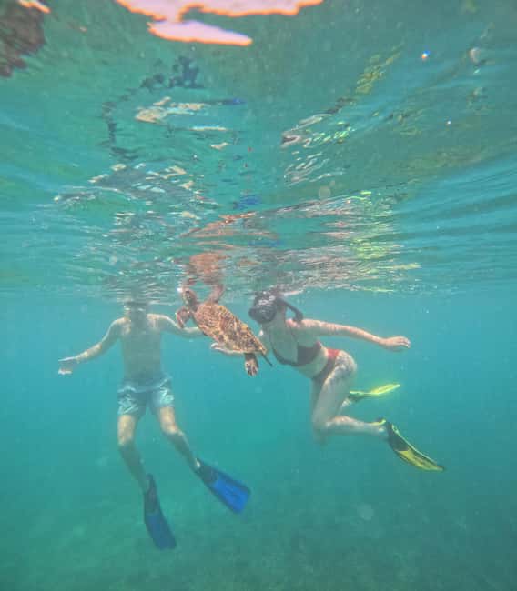 Immagine nº 7 di Tour pomeridiano di snorkeling delle isole Dimaniyat attività a Mascate, caricata dal fornitore