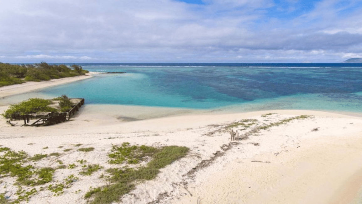 image n.3 of 3 Islands Private Speedboat w/ Lunch & Snorkeling Sea Turtle activity in Mauritius, uploaded by supplier