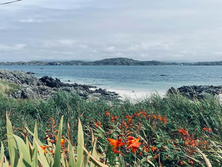 billede nr.4 af aktiviteten Oban: Tur til Isle of Mull og Iona i Det skotske højland, uploadet af udbyder