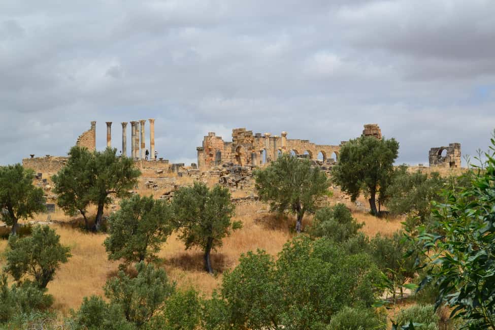 billede nr.21 af aktiviteten Dagstur fra Fes til Volubilis via Meknes og Moulay Idriss i Meknès, uploadet af udbyder