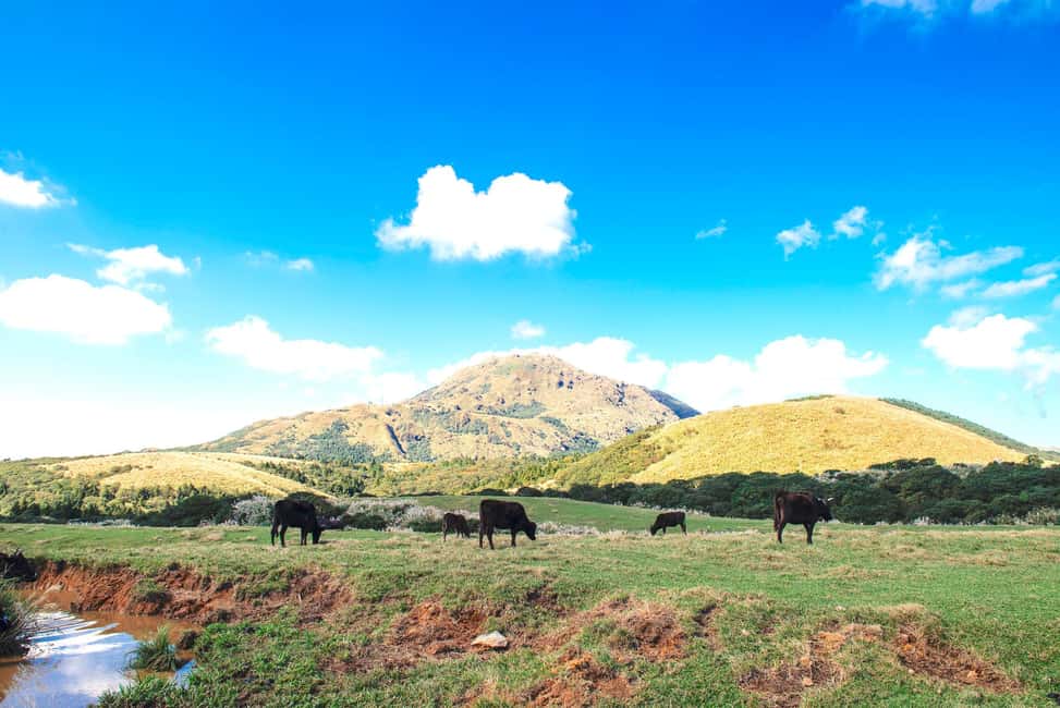 image n.2 of Taipei: Yangmingshan & Beitou Full-Day Tour activity in Taipei City, uploaded by supplier