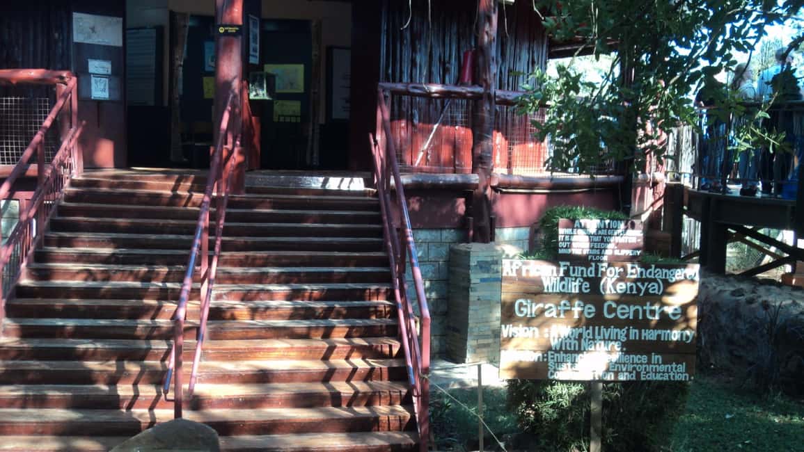 image n.15 of Giraffe Center and Karen Blixen Museum Tour from Nairobi activity in Nairobi, uploaded by supplier