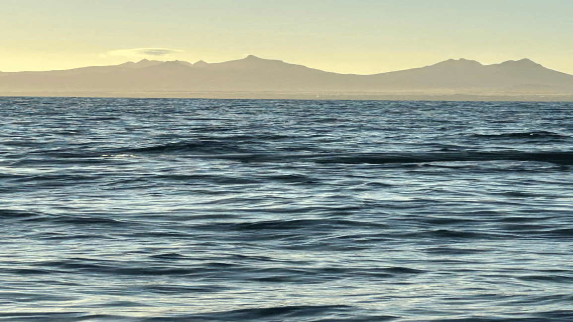 image n.6 of Whale & Dolphins Swimming - Private Speedboat Exclusive Tour activity in Mauritius, uploaded by supplier