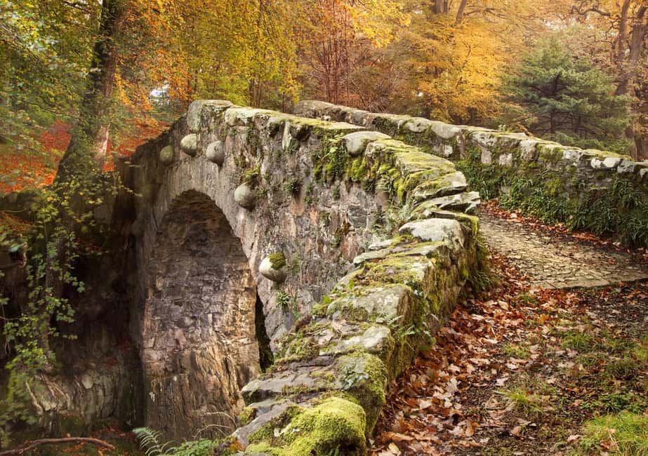 imagem n.10 de Faz uma caminhada pela floresta de Tollymore: Game of Thrones - Caminhada na Floresta de Tollymore atividade em Condado de Down, carregada pelo fornecedor