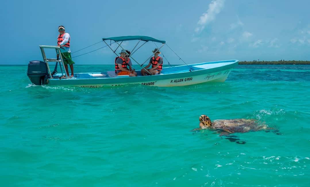 afbeelding n.7 van Tulum: SIAN KAAN biosfeer rondvaart, dolfijnen, snorkelen activiteit in Coba Stad, geüpload door aanbieder