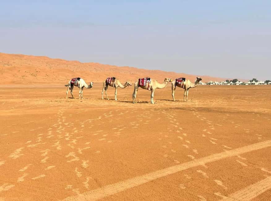 Immagine nº 34 di Avventura nel deserto di Wahiba , Nuoto nel Wadi Bani Khalid attività a Regione al-Sharqiyya, caricata dal fornitore