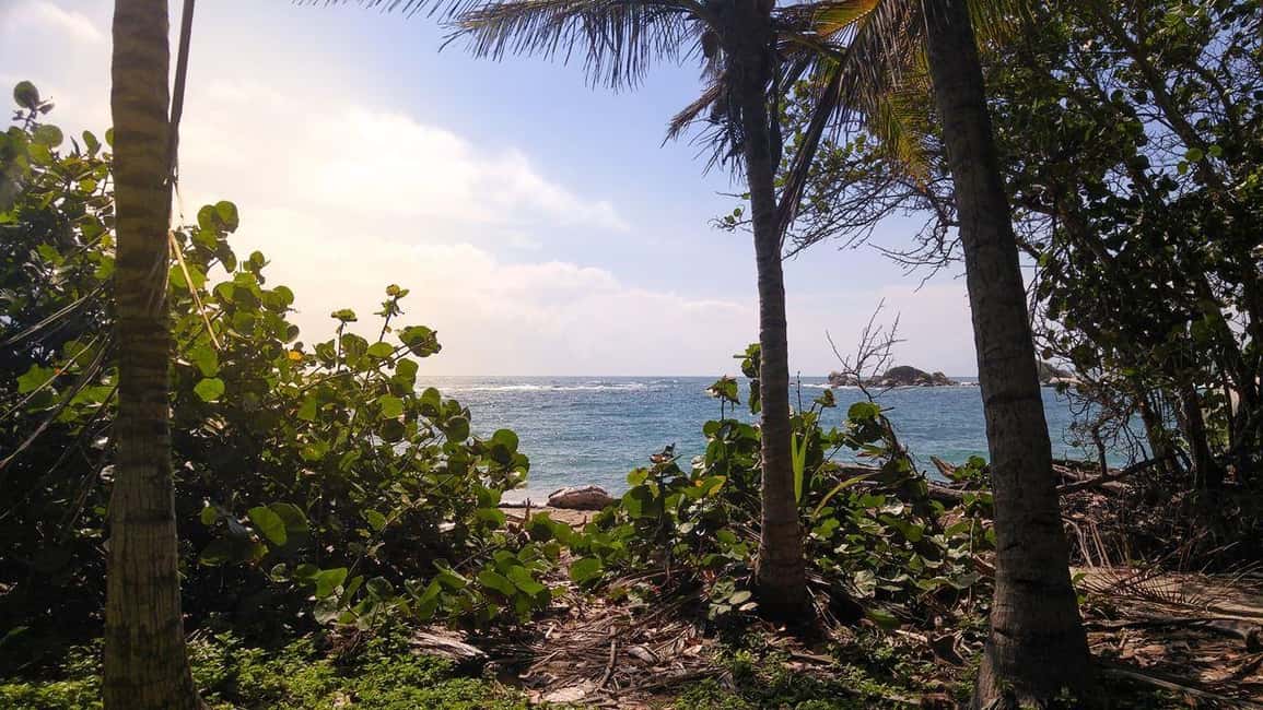 image n.5 of Tayrona Park: Group Tour To Cabo San Juan activity in Magdalena, uploaded by supplier