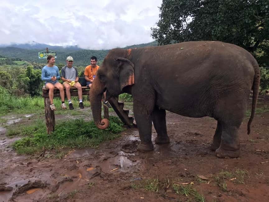 image n.46 of Chiang Mai: Elephant Sanctuary & Waterfall Group Tour activity in Chiang Mai, uploaded by supplier
