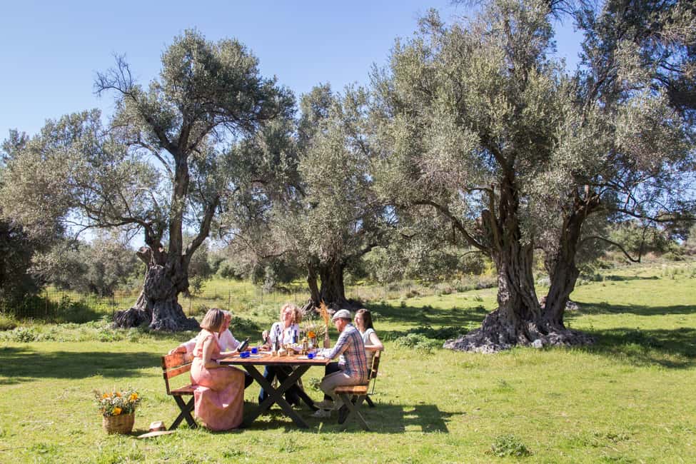 image n.1 of Rethymno: Olive Oil Tasting with Cretan Food Pairing activity in Crete, uploaded by supplier