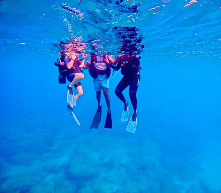 image n.10 of DISCOVER SCUBA DIVING IN LEMORNE with EasydiveMauritius activity in Mauritius, uploaded by supplier