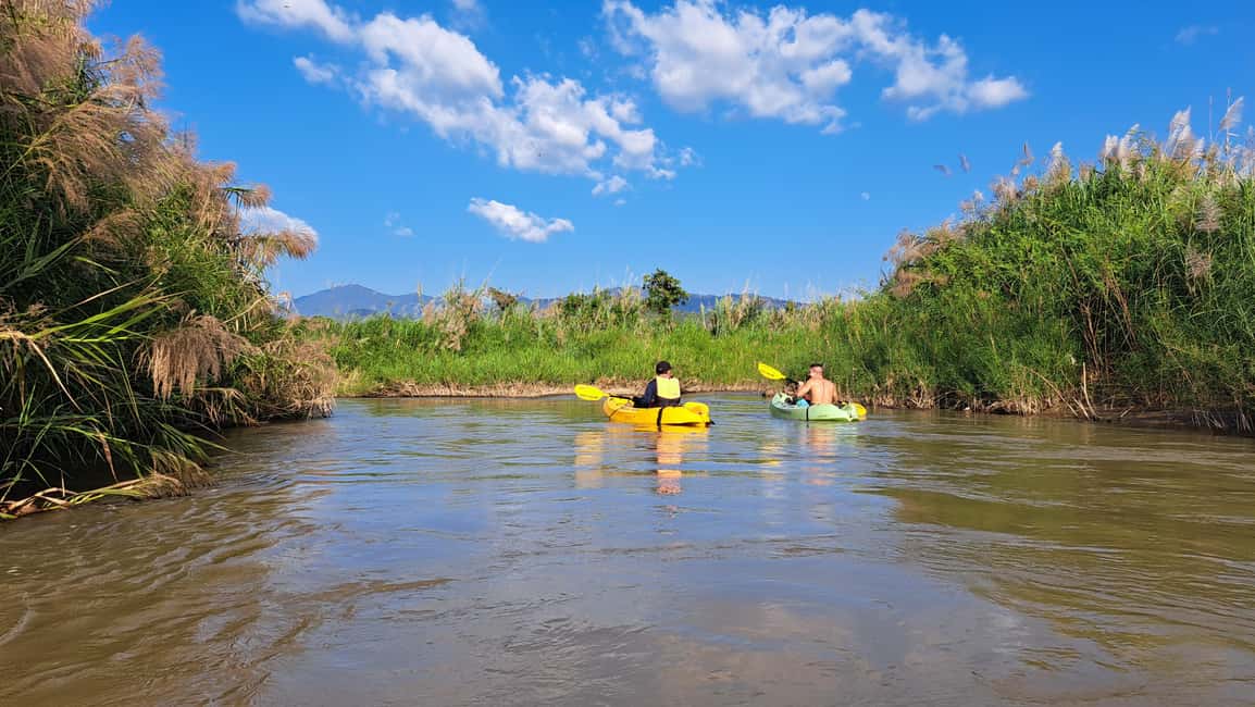 image n.16 of Chiang Mai: Full-Day Nature & Countryside by Bicycle activity in Chiang Mai Province, uploaded by supplier