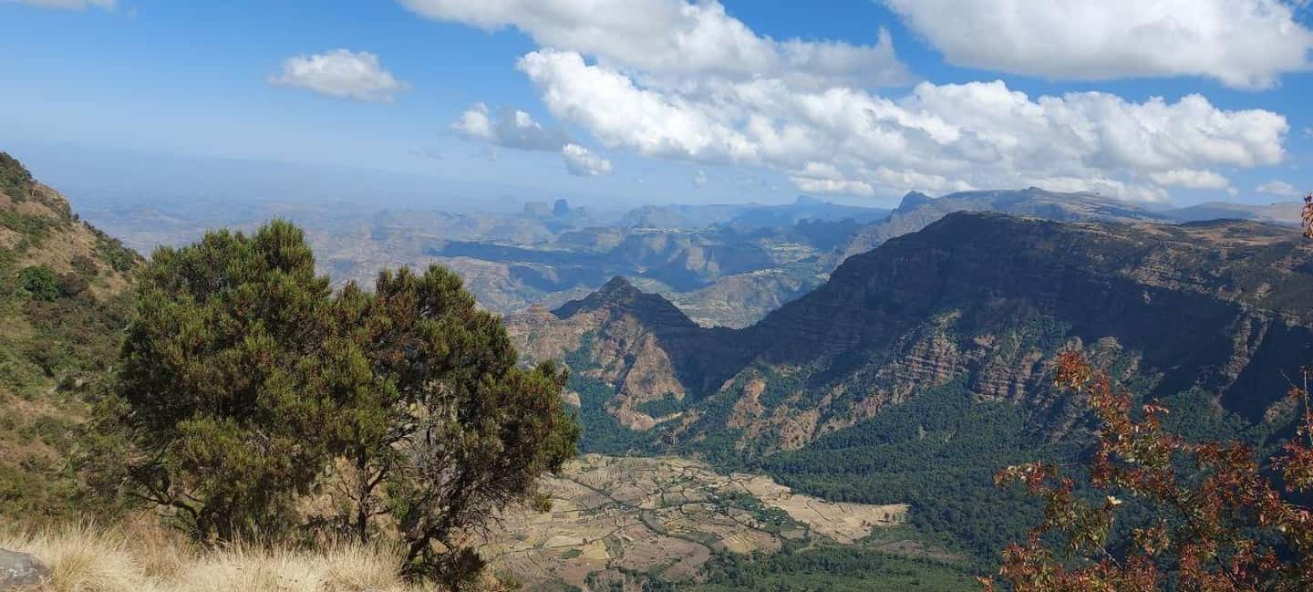 image n.3 of 3 Days Trekking & Wildlife Spotting in the Simien Mountains activity in Amhara Region, uploaded by supplier