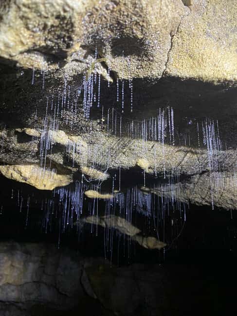 image n.5 of Auckland: Waitomo Glowworm Caves Explorer Small Group Tour activity in Waitomo, uploaded by supplier