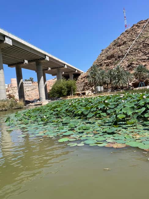 Immagine nº 9 di Muscat: escursione di un'intera giornata a Wadi Shab, grotta romantica e sinkhole attività a Regione al-Sharqiyya, caricata dal fornitore