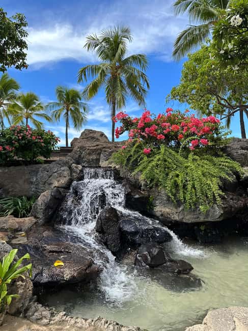 image n.3 of Oahu: Highlights of Oahu Small Group Tour activity in Hawaii, uploaded by supplier