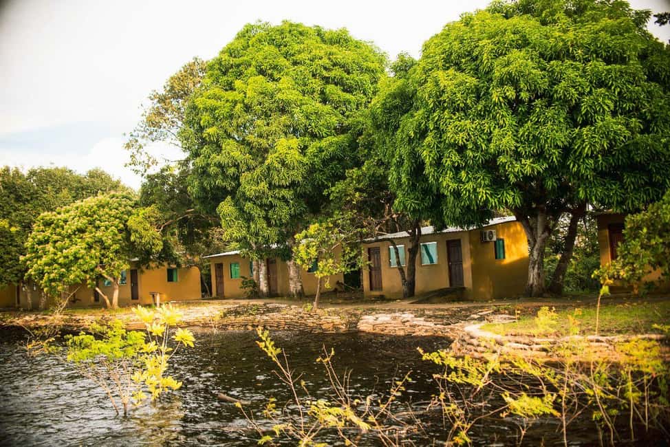 imagen n.º 14 de Manaos: Tour de 2, 3 o 4 días por la selva amazónica en el Anaconda Lodge actividad en Manaos, subida por el proveedor