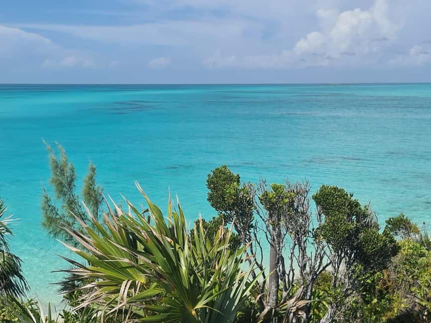 image n.12 of Nassau: 3 Islands Tour, Snorkel, Pig Beach, Turtles & Lunch activity in Berry Islands, uploaded by supplier