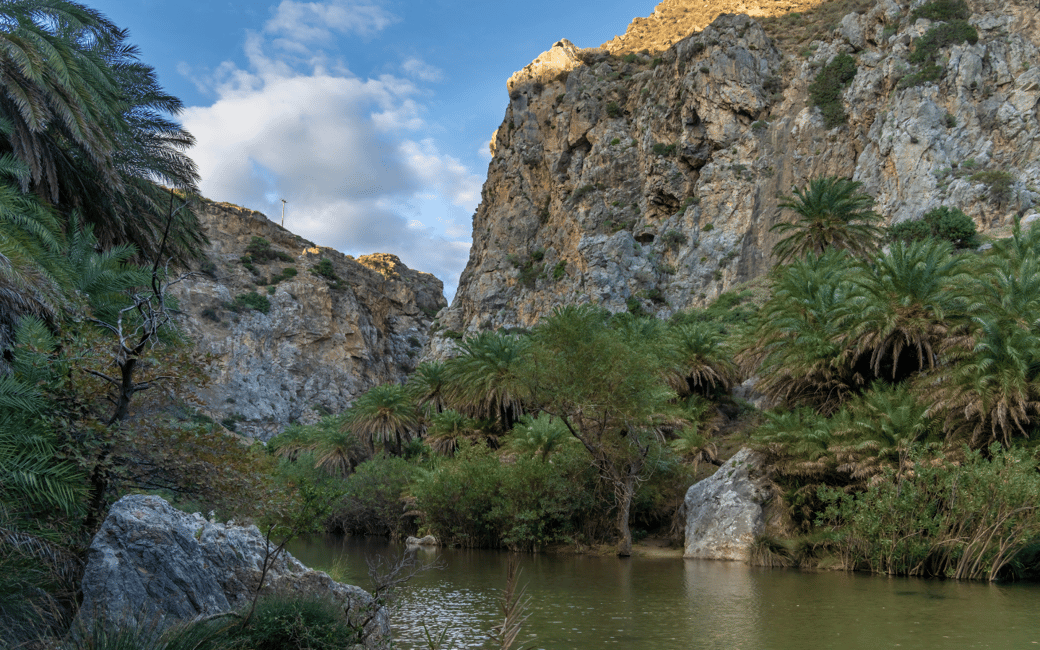 Immagine nº 11 di Fuoristrada: lago naturale, gole di montagna, foresta di palme e spiaggia attività a Kournas, caricata dal fornitore