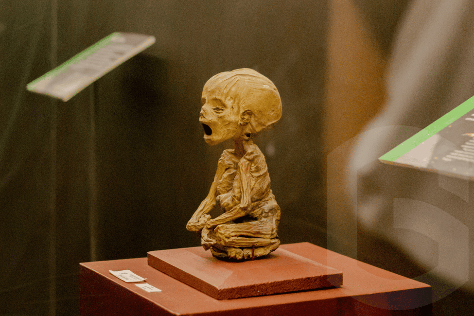 image n.11 of Museums and Mines of Guanajuato Private Tour activity in Guanajuato City, uploaded by supplier