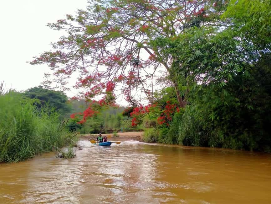 image n.15 of Chiang Mai: Full-Day Chiang Dao Caving & Jungle Kayaking activity in Chiang Dao, uploaded by supplier