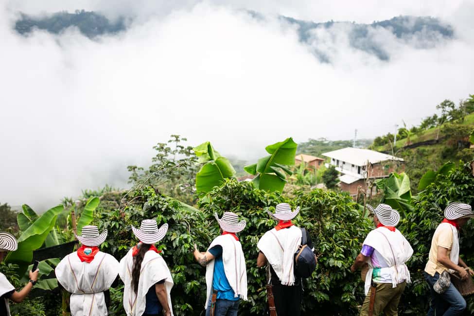imagem n.9 de Medellín: Tour do café, chegada a cavalo e cana-de-açúcar atividade em Medellín, carregada pelo fornecedor