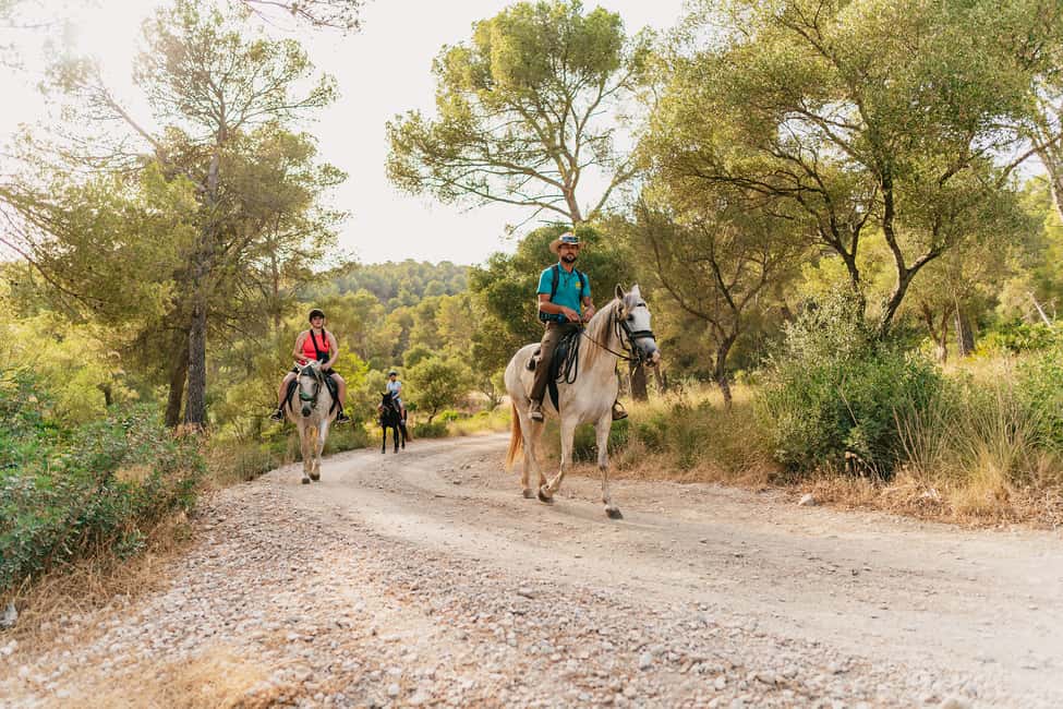 image n.2 of Mallorca: Horseback Riding Experience with Food Options activity in Balearic Islands, uploaded by supplier