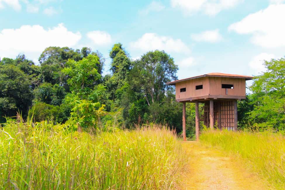 imagen n.º 5 de Desde Bangkok: Excursión de un día en grupo reducido al Parque Nacional de Khao Yai actividad en Provincia de Nakhon Nayok, subida por el proveedor