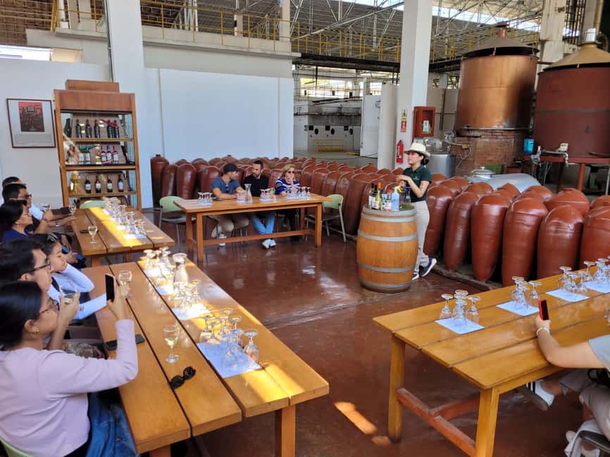 afbeelding n.4 van ICA: Pisco- en wijnroute met proeverij in 03 wijnhuizen activiteit in Ica, geüpload door aanbieder
