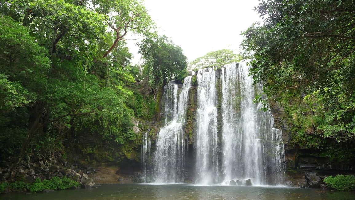 Immagine nº 4 di Guanacaste: Santuario dei bradipi e avventura alle cascate attività a Provincia di Limón, caricata dal fornitore