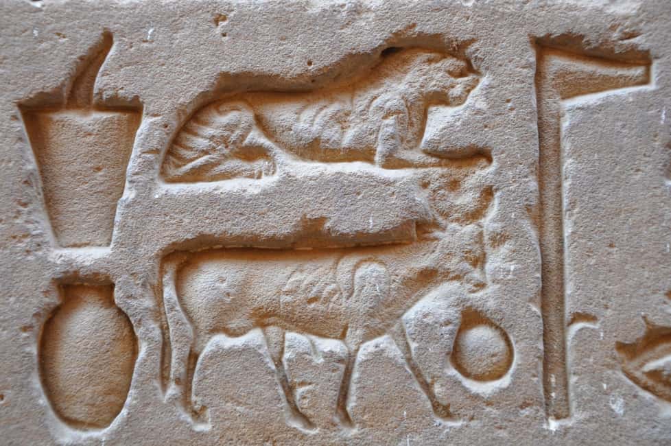 imagem n.10 de De Luxor: Excursão particular aos templos de Edfu e Kom Ombo e almoço atividade em Edfu, carregada pelo fornecedor