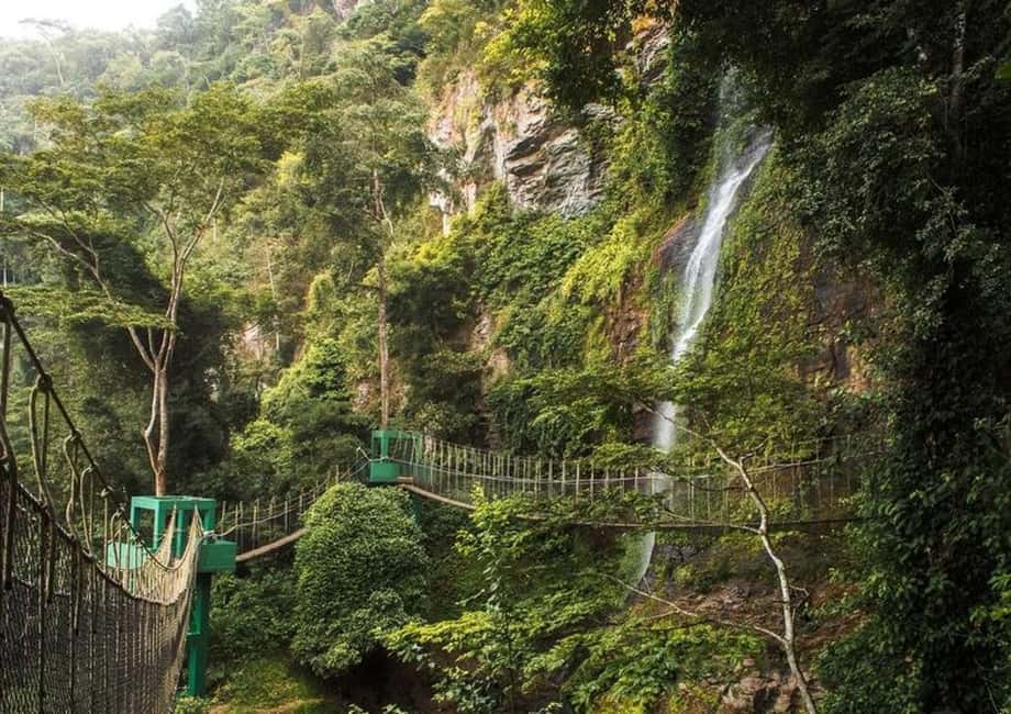 image n.1 of Accra: Tafi Kente Village, Monkey Sanctuary &Ote Waterfalls activity in Ho, Ghana, uploaded by supplier