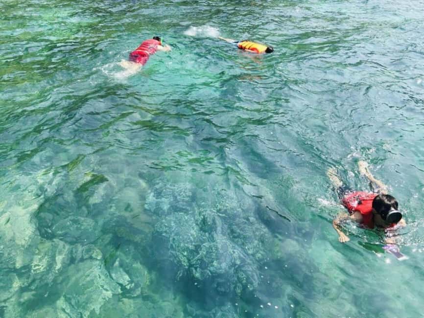 image n.9 of Da Nang/Hoi An:Explore Cham Island and Snorkeling tour 1 Day activity in Hoi An, uploaded by supplier