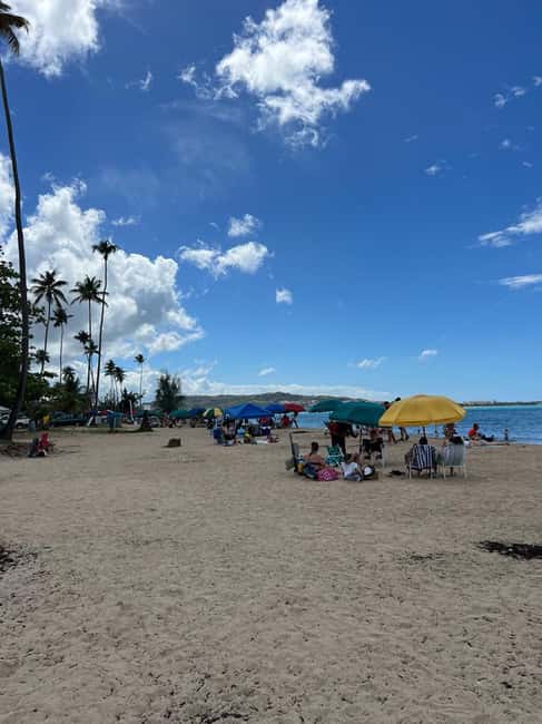 Obraz nr 45 z atrakcji Las deszczowy El Yunque; zjeżdżalnie wodne, plaża, posiłek i wycieczka po sklepach w Río Grande, Portoryko, przesłany przez organizatora