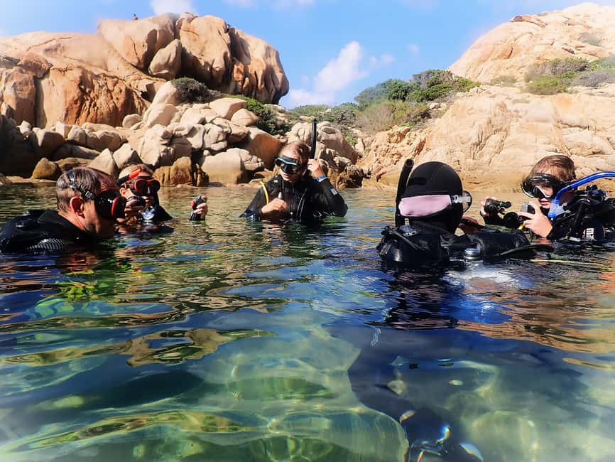 afbeelding n.1 van Sardinië, La Maddalena Archipel: Eerste duikervaring activiteit in Palau, geüpload door aanbieder